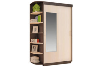 Шкаф-купе «ШОН-6»